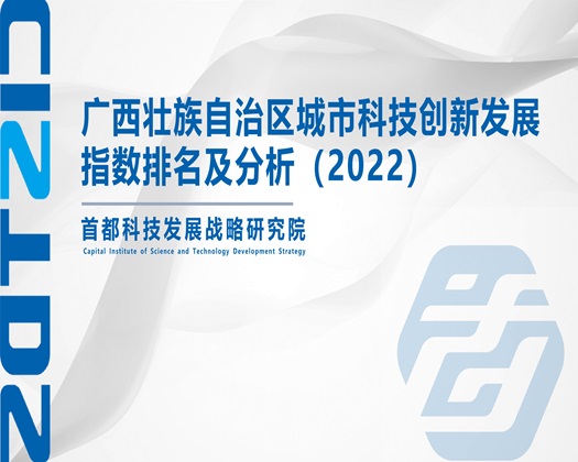 国产操老女人【成果发布】广西壮族自治区城市科技创新发展指数排名及分析（2022）